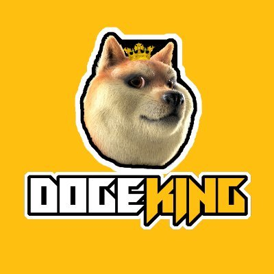 DogeKing Metaverse